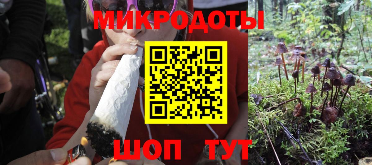 Псилоцибиновые грибы Cubensis Ахтубинск